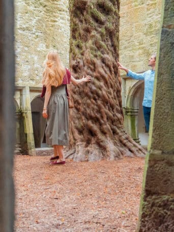 Couple exploring the ruins at the historic cloisters near Muckross Park Hotel.