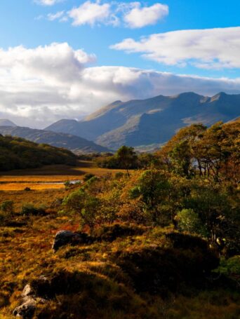Golden-Killarney-Park