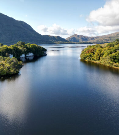 Scenic view of the Lakes of Killarney surrounded by mountains and woodland