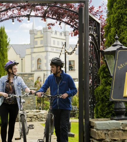 National-Park-Muckross-Bike-Image