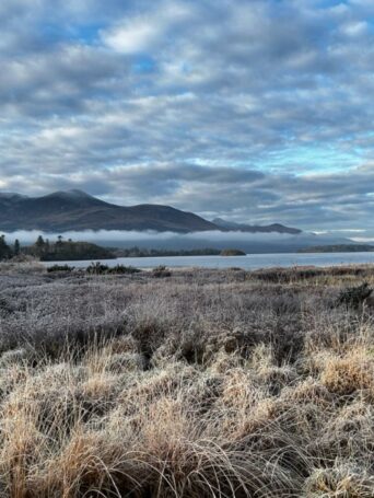 Winter-Killarney-Park