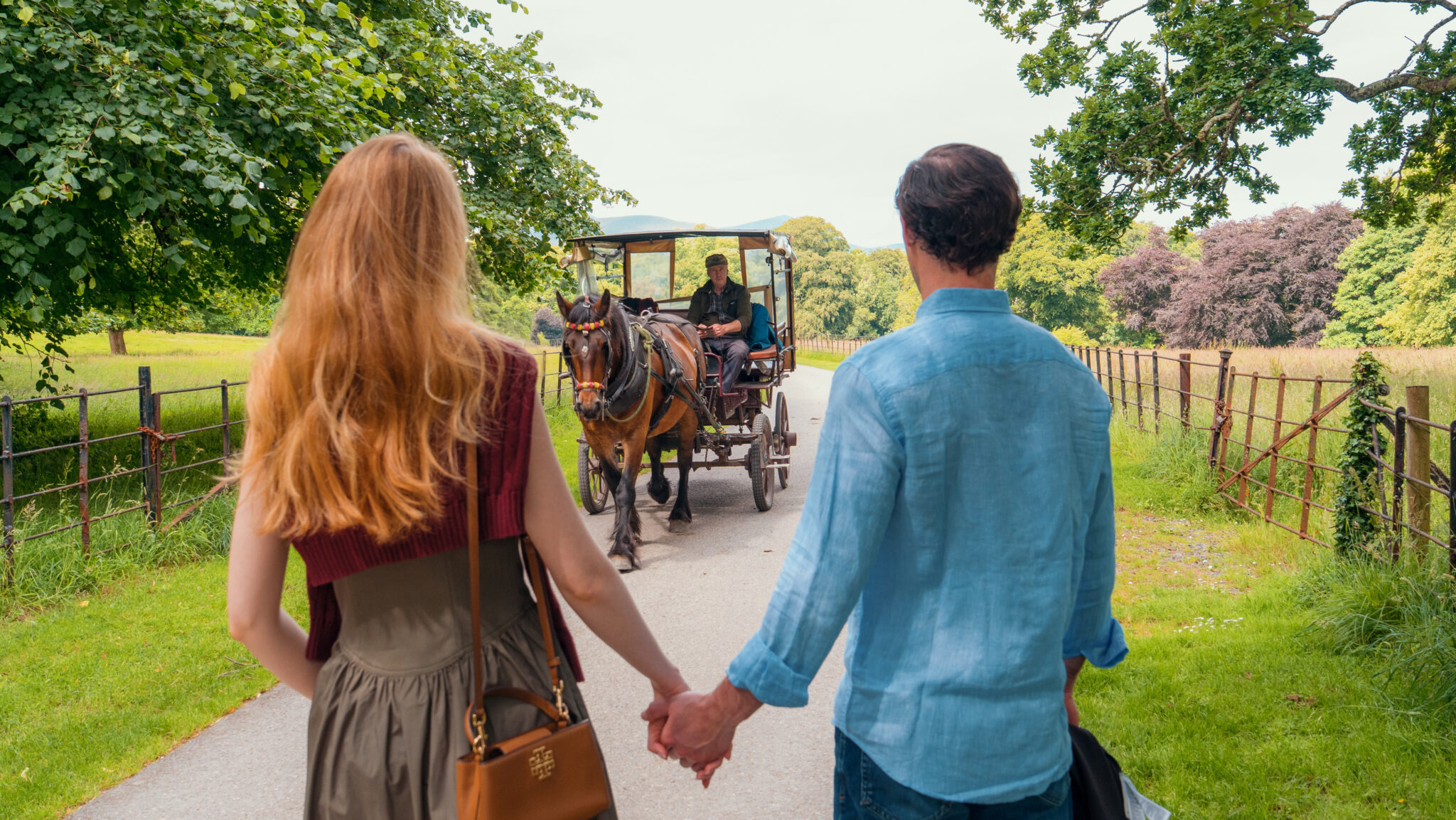 Autumn Winter in Killarney