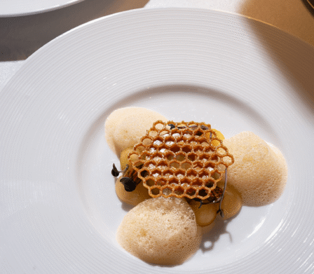 Elegant gourmet dish with crisp garnish, foamy sauce on a white plate, set on a fine dining table.