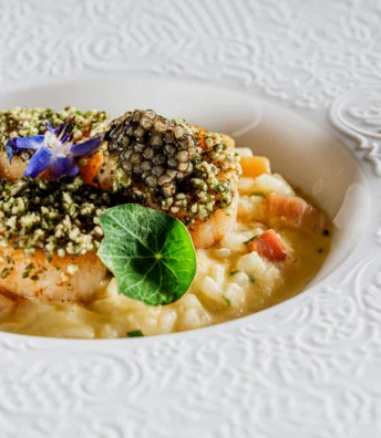 Pan-seared scallops with herb crumb, caviar and pea shoots on creamy risotto served on embossed white plate — fine-dining hotel restaurant