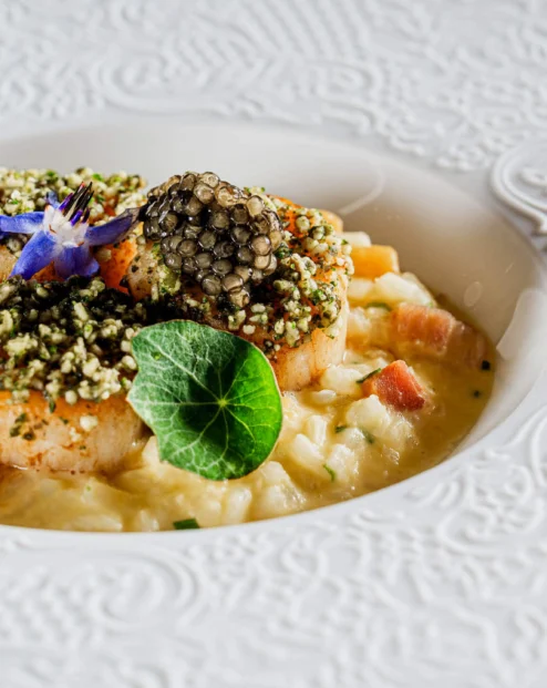 Pan-seared scallops with herb crumb, caviar and pea shoots on creamy risotto served on embossed white plate — fine-dining hotel restaurant